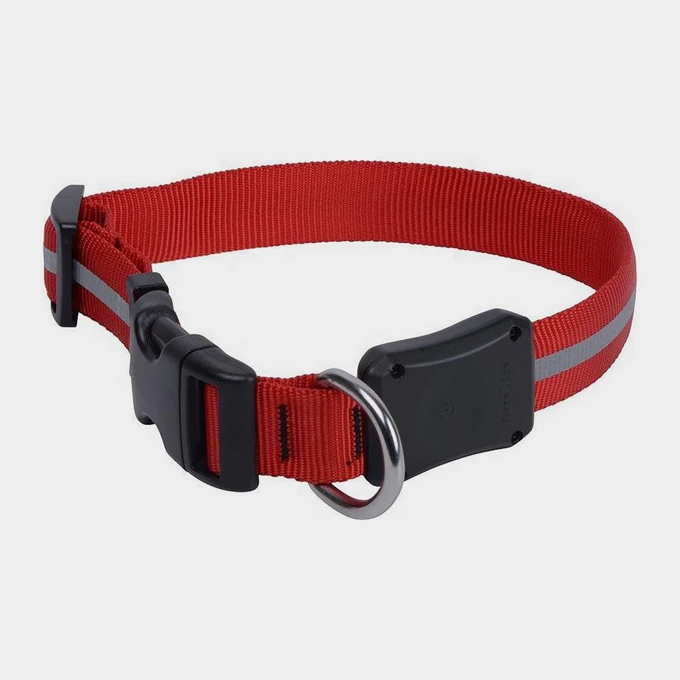 Nite Dawg II LED Collar (Medium) 3 Nite Dawg II LED Collar (Medium)
