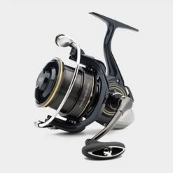 Daiwa Cast'Izm Feeder 25Qd 19