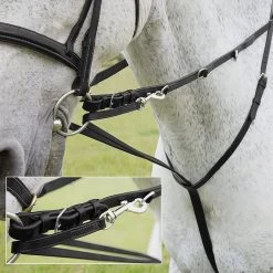 Market Harborough Havana