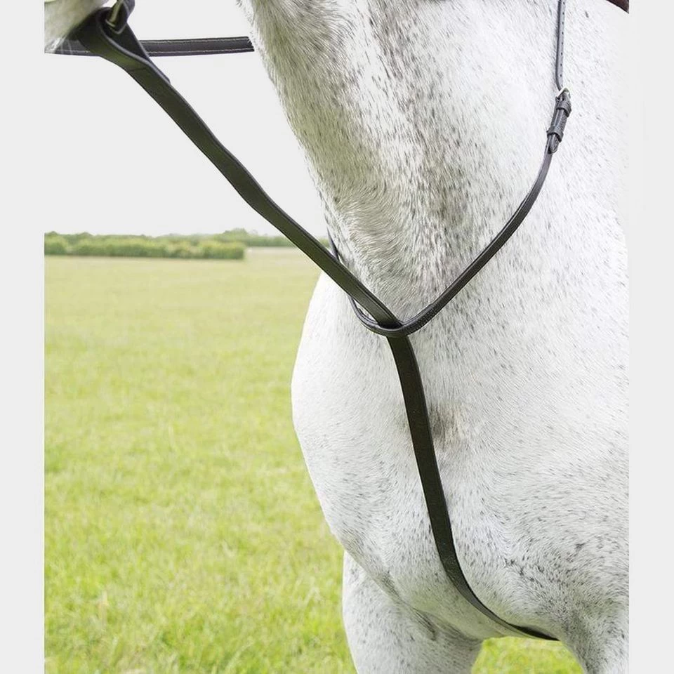 Standing Martingale 3 Standing Martingale