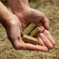 Spearmint Treats -Sports Outdoor go 478456 c