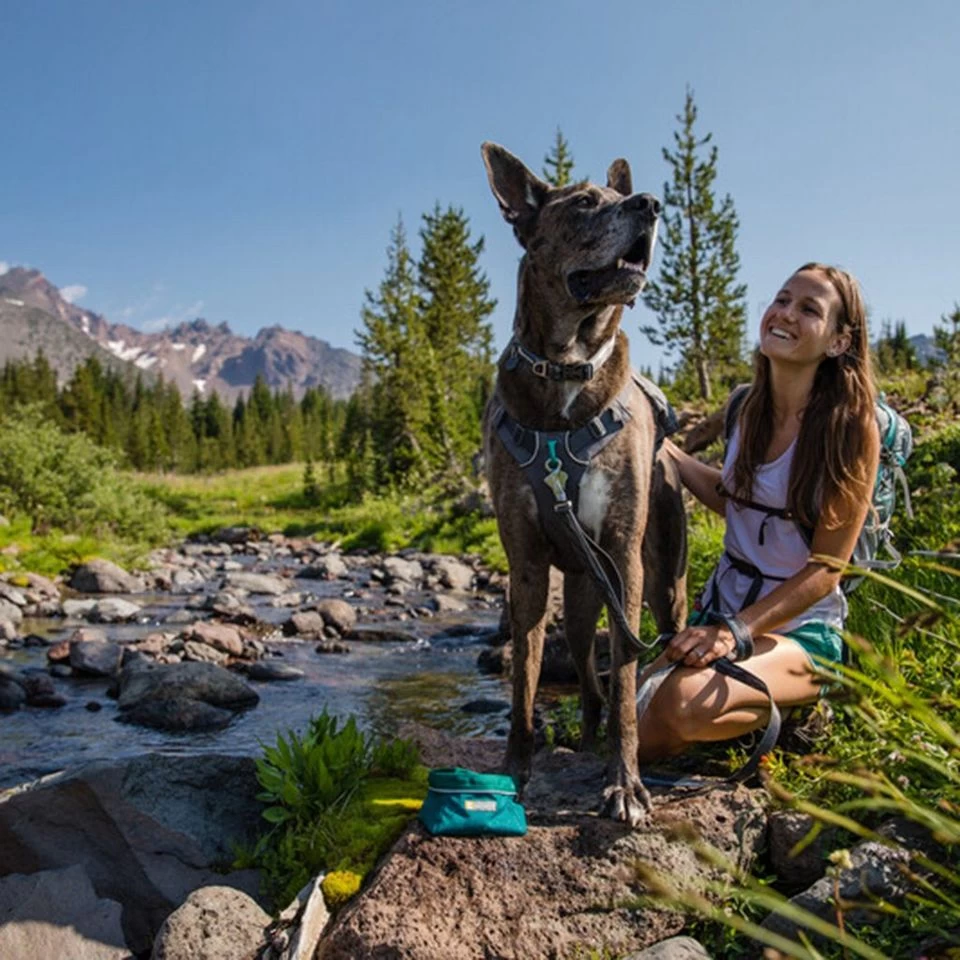 Ruffwear Flat Out Dog Collar 6 Ruffwear Flat Out Dog Collar - Image 4