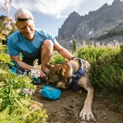 Ruffwear Front Range™ Dog Collar -Sports Outdoor go 479983 d