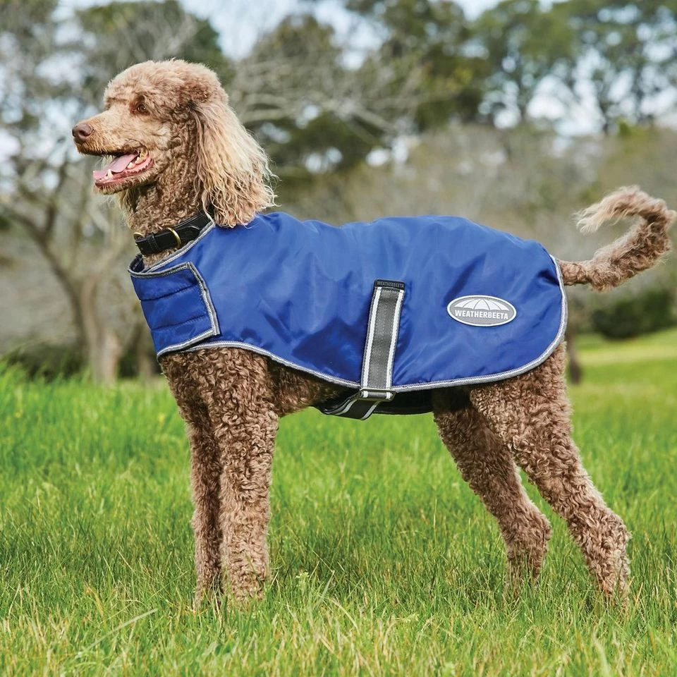 Weatherbeeta Comfitec Windbreaker Free Dog Coat 6 Weatherbeeta Comfitec Windbreaker Free Dog Coat - Image 4