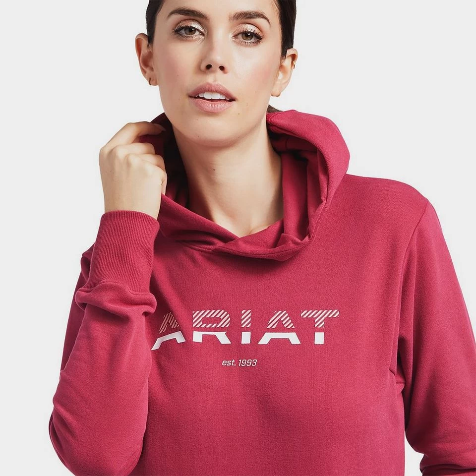 Ariat Women’s 3D Logo 2.0 Hoodie 5 Ariat Women’s 3D Logo 2.0 Hoodie - Image 3