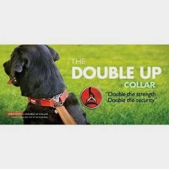 Double Up Dog Collar (Small) 8 Double Up Dog Collar (Small) -Sports Outdoor go 604688 c
