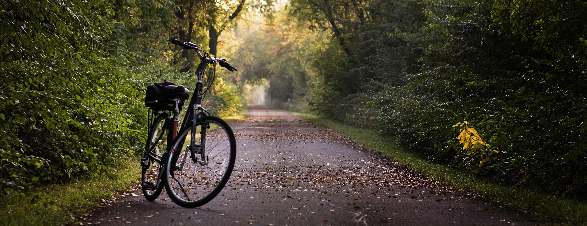 Sports Outdoor -Sports Outdoor bike 2769021 1920